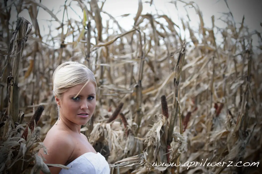 Bride in a cornfield, her blonde hair pinned into a smooth low knot