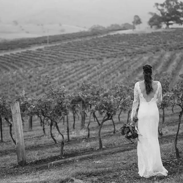 Vineyards with Bride